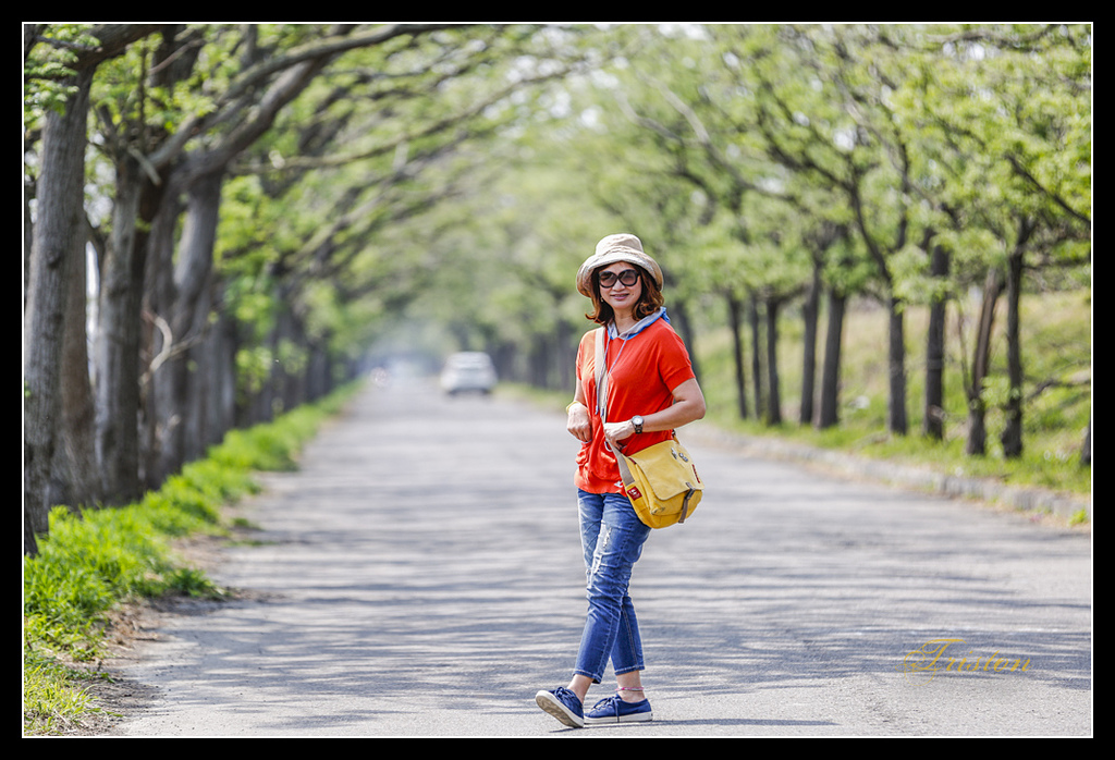 _H1A2989.jpg - 20170328 嘉義苦楝花隧道