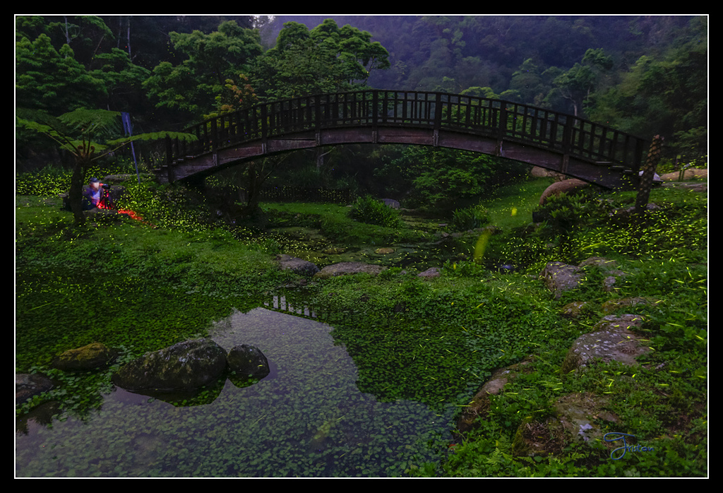 _H1A3821.jpg - 20170425 阿里山＋圓潭螢火蟲