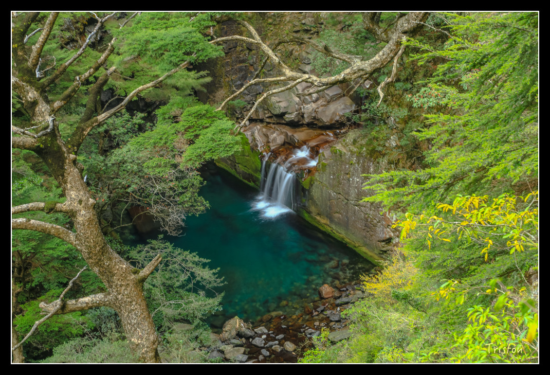 JH1A0773.jpg - 20151205 合歡溪步道、108K楓之谷