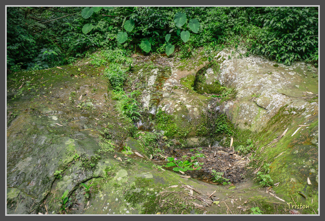 _MG_8666.jpg - 20160622 圓潭、雲潭、水社寮車站