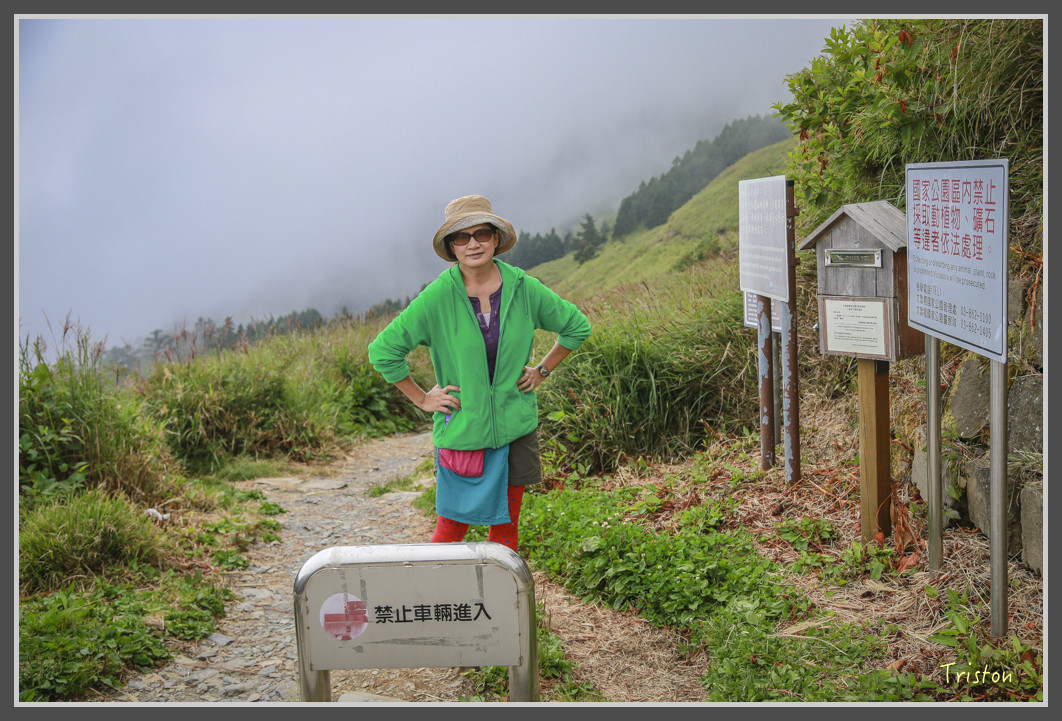 JH1A0232.jpg - 20160806 小奇萊步道、清境國小