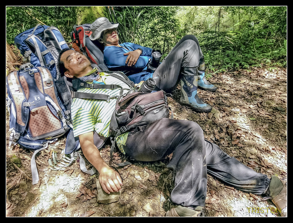 20170725_170725_0004.jpg - 20170723 水漾森林