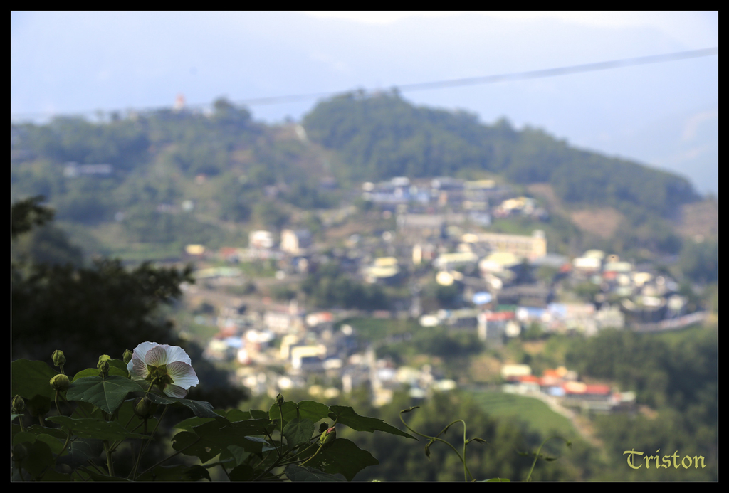 jh1a0073_15767021432_o.jpg - 20141111 屏東霧台 神山 一日來往輕旅行