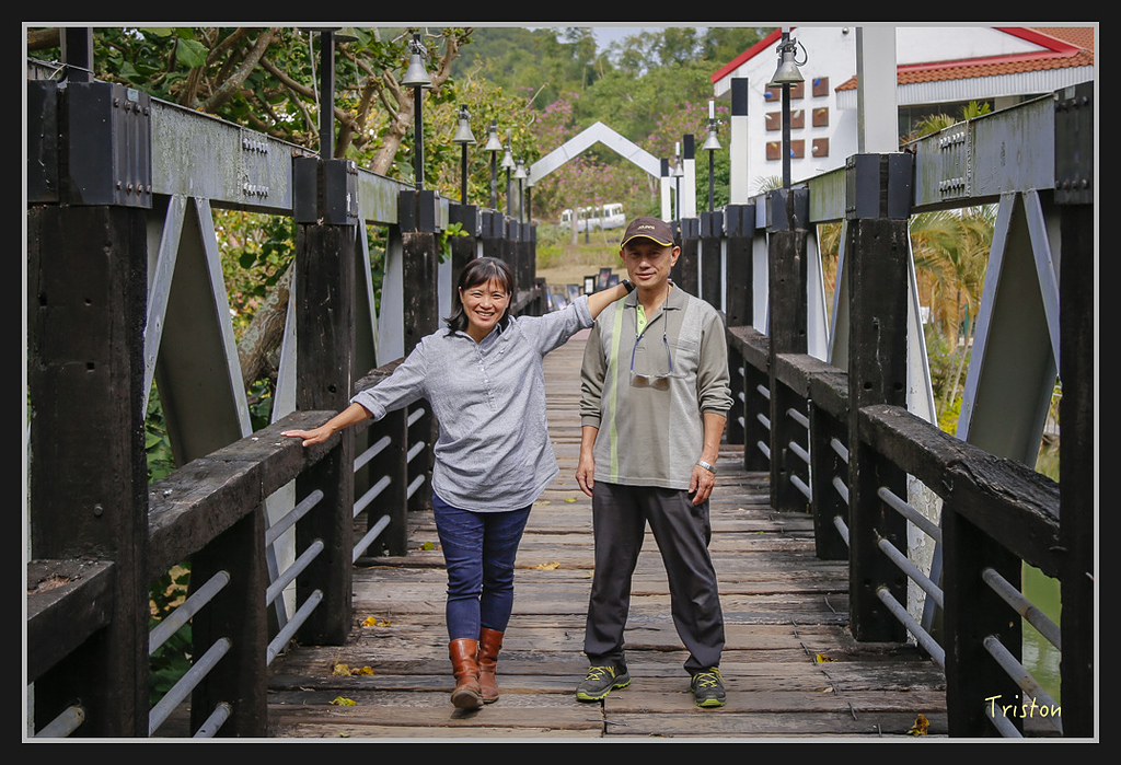 _H1A1806.jpg - 20170130 南藝大走春