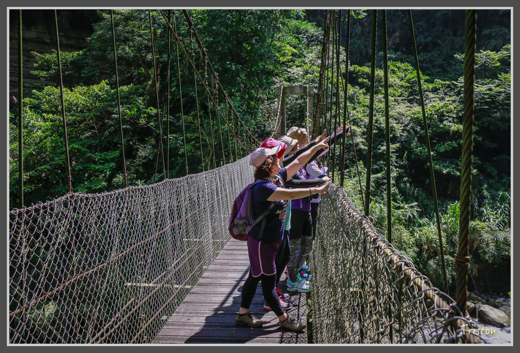 _MG_9098.jpg - 20160716 青年嶺步道