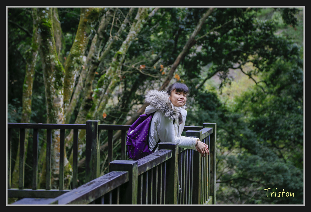 _H1A2421.jpg - 20170212 武界 萬大電廠 奧萬大