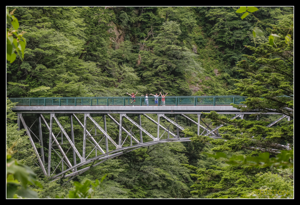 _MG_0841.jpg - 20170702 靜岡東海道之旅