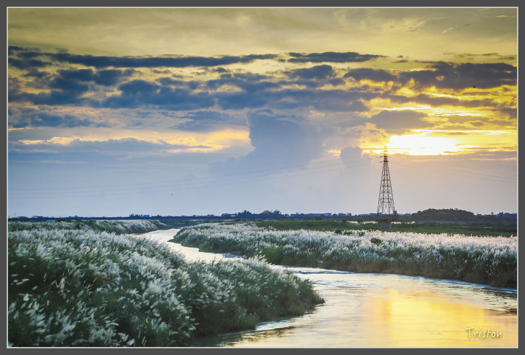 jh1a0147_29697922945_o.jpg - 20160929 八掌溪菅芒花＋奇美博物館夕陽