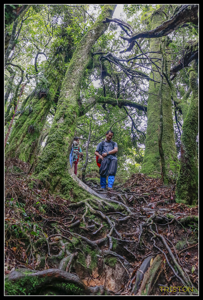 _MG_0127.jpg - 20170723 水漾森林