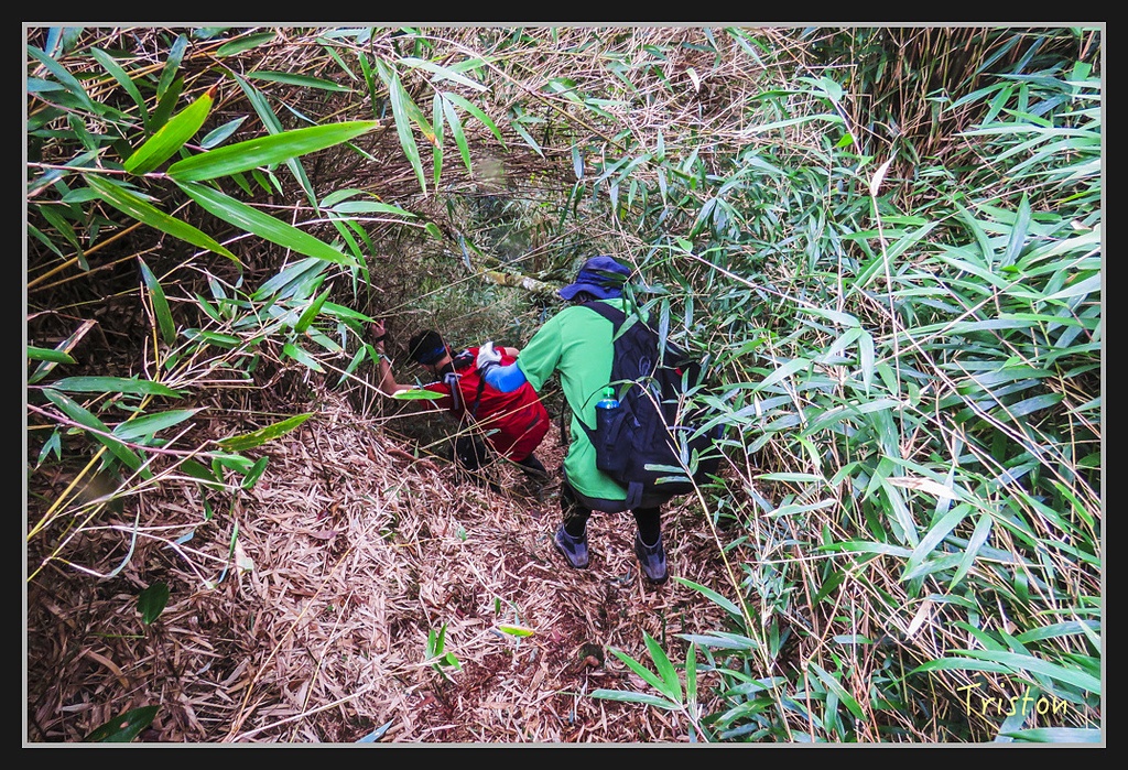 IMG_1409.jpg - 20170318 守關山、守城大山