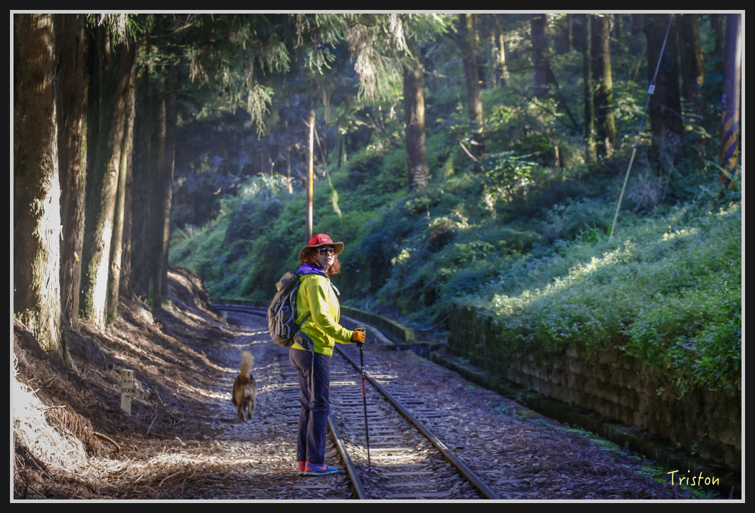 _MG_0022.jpg - 20161226 大塔山