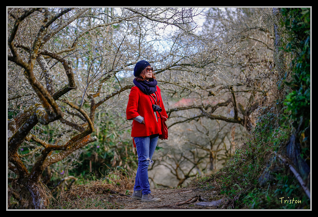 _H1A1409.jpg - 20170117 烏松崙、竹青庭