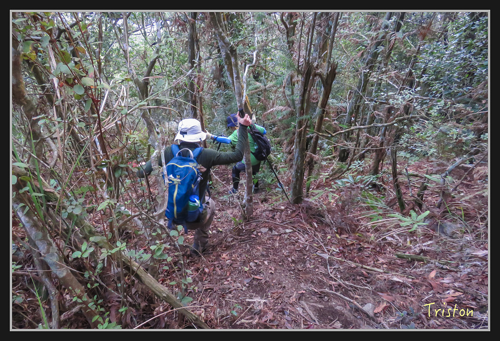 IMG_1452.jpg - 20170318 守關山、守城大山