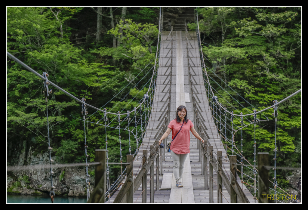 _MG_0762.jpg - 20170702 靜岡東海道之旅