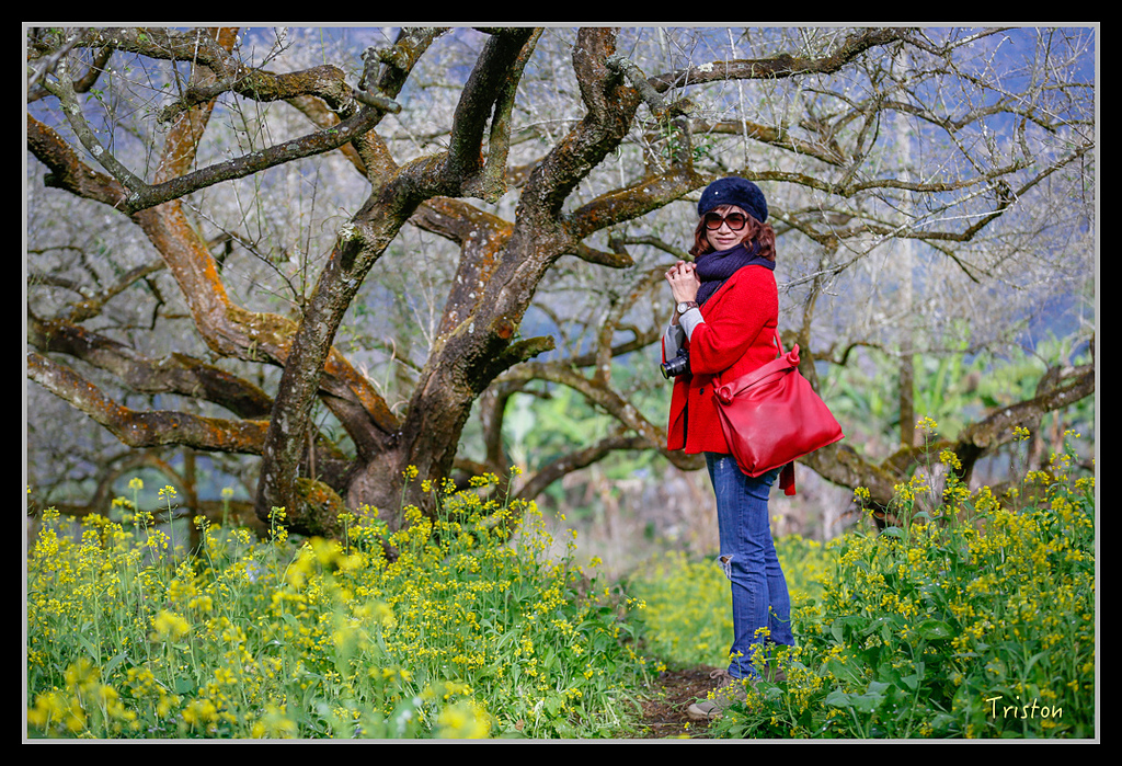 _H1A1474.jpg - 20170117 烏松崙、竹青庭