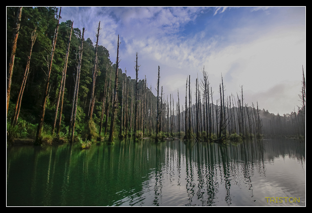 _MG_0154.jpg - 20170723 水漾森林