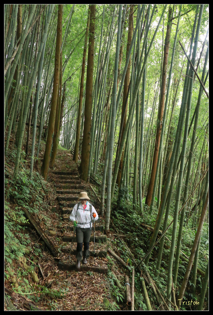 IMG_8488.jpg - 20151012 水社寮,四天王山