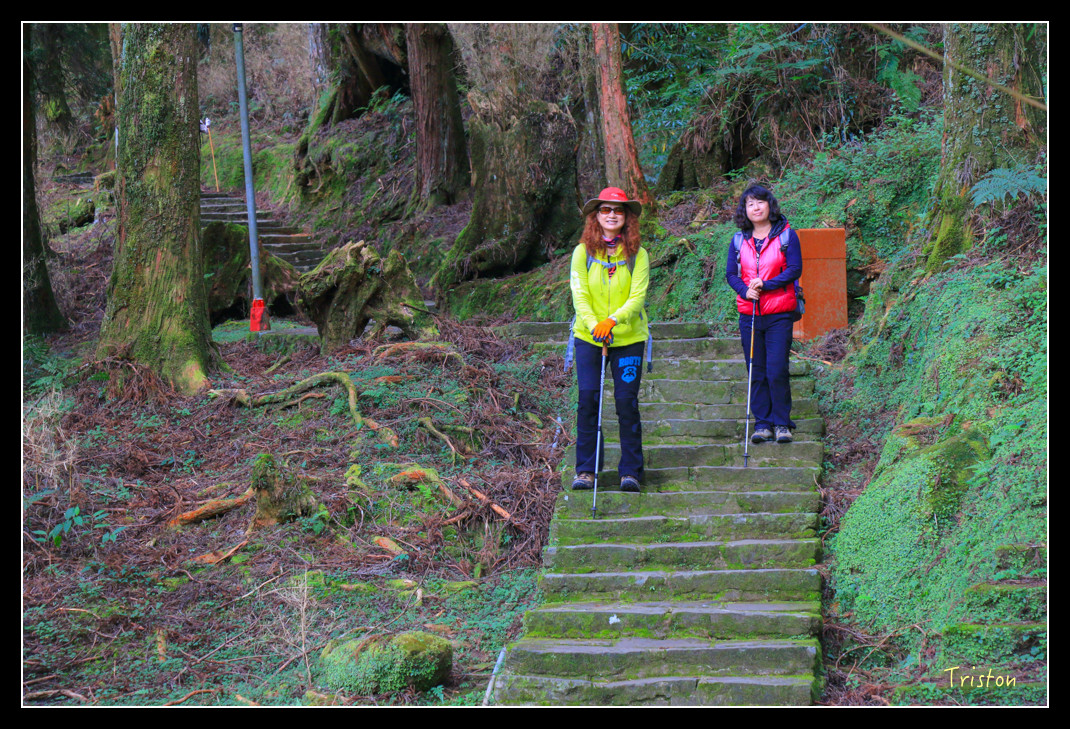 IMG_9414.jpg - 20151130 小笠原山、對高岳