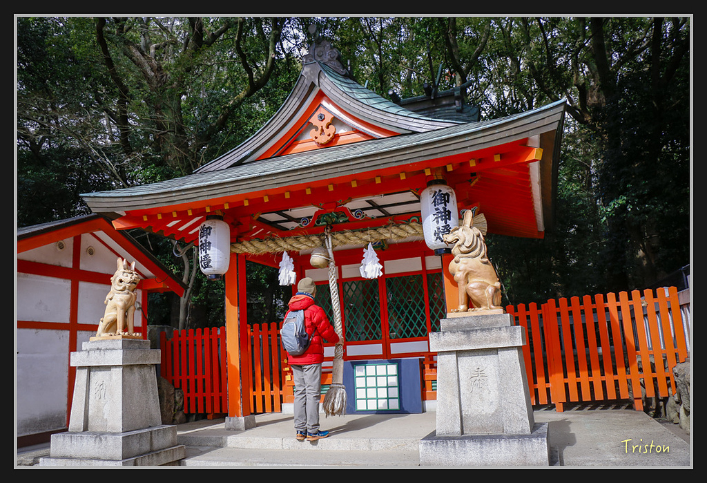 Canon-185.jpg - 20170120 大阪神戶親子遊