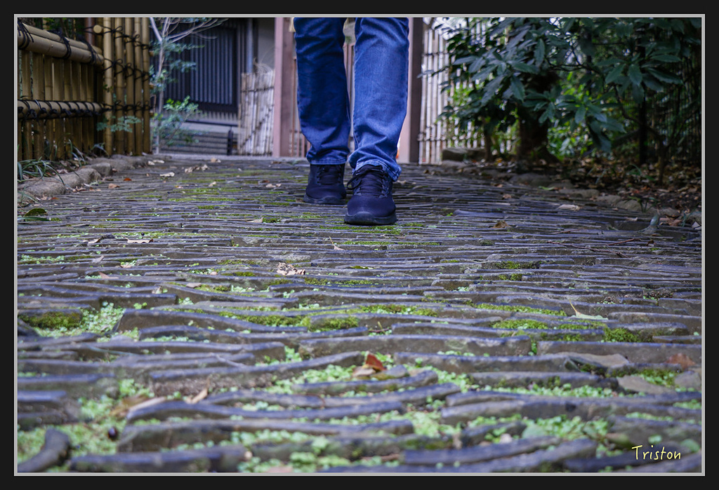 Canon-190.jpg - 20170120 大阪神戶親子遊