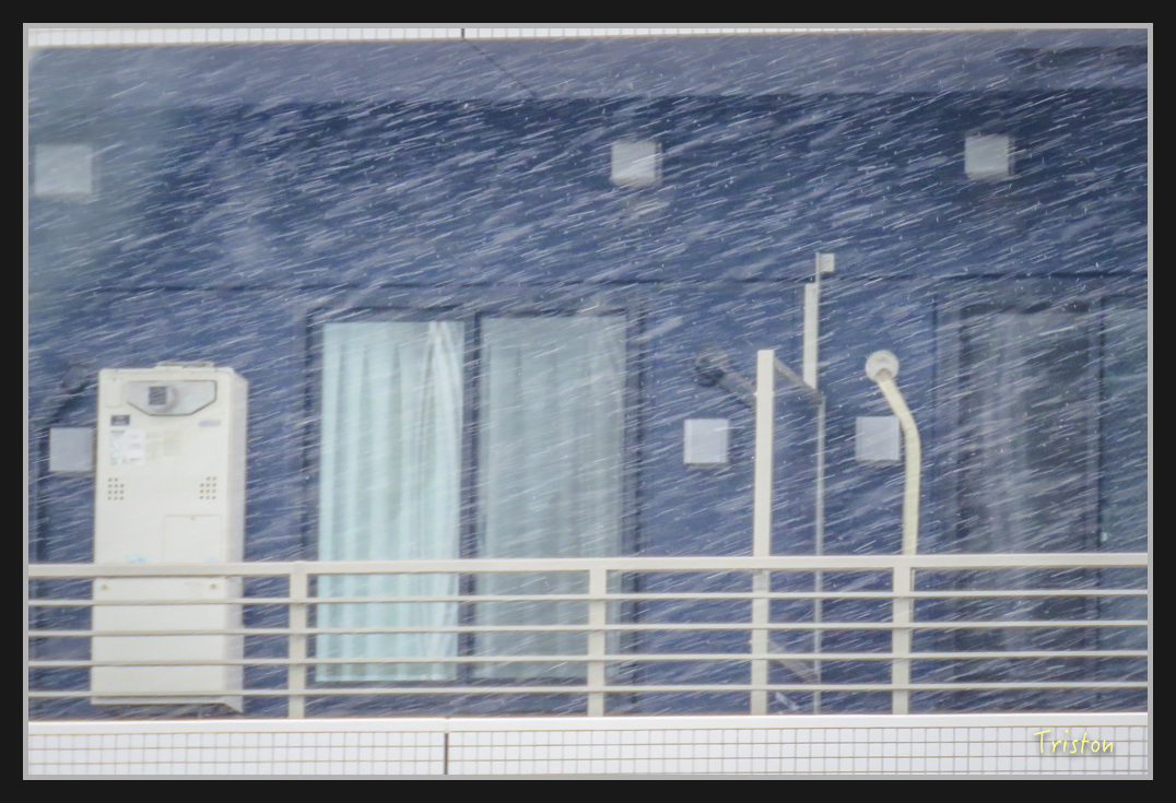 Canon-978.jpg - 20170120 大阪神戶親子遊