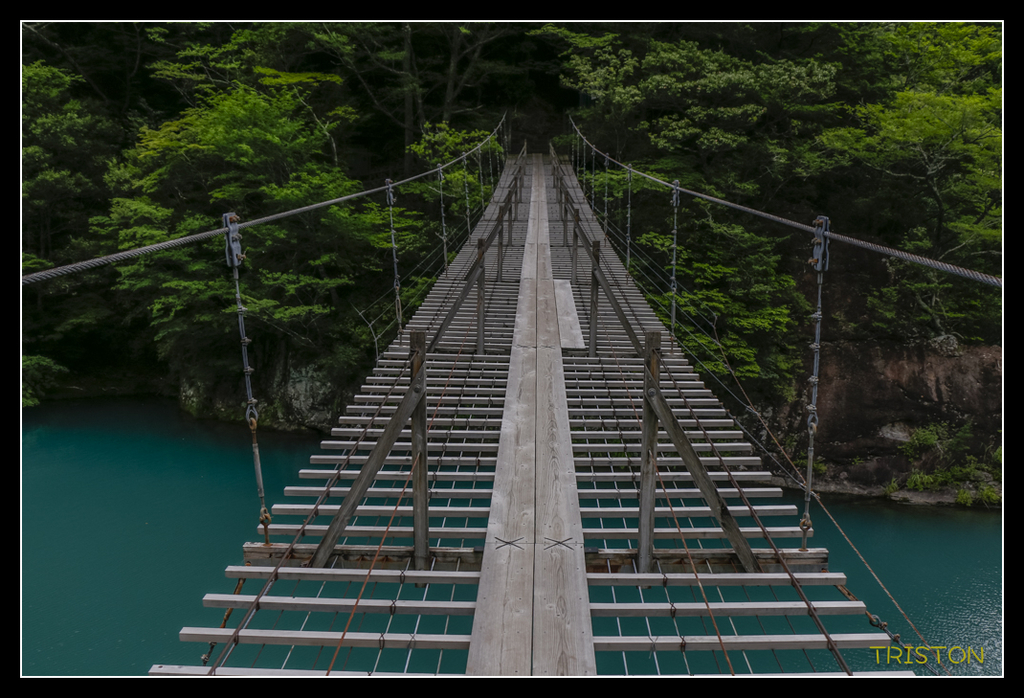 _MG_0771.jpg - 20170702 靜岡東海道之旅