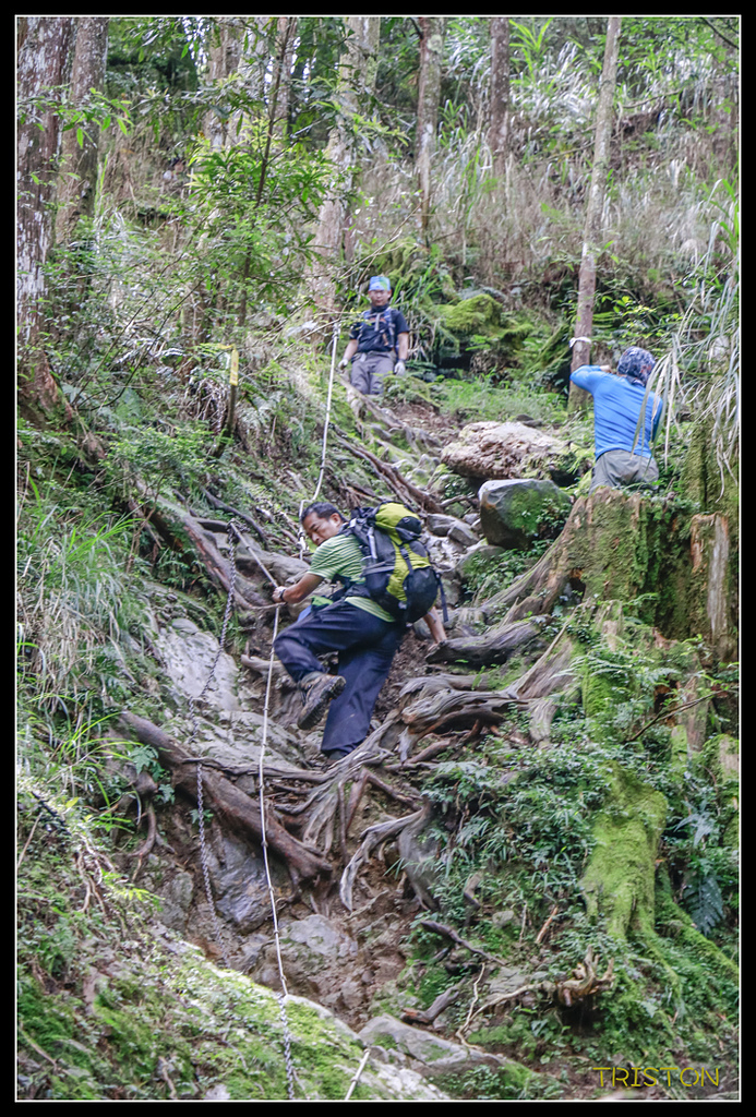 _MG_0357.jpg - 20170723 水漾森林