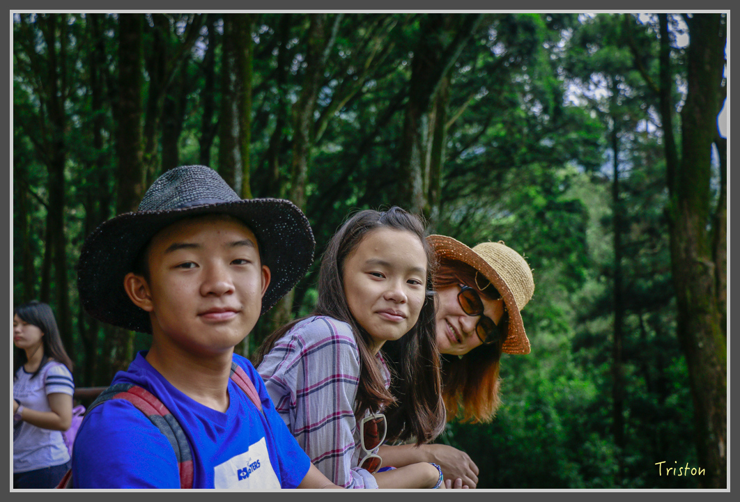 _MG_9455.jpg - 20160724 奮起湖阿里山森鐵一日遊