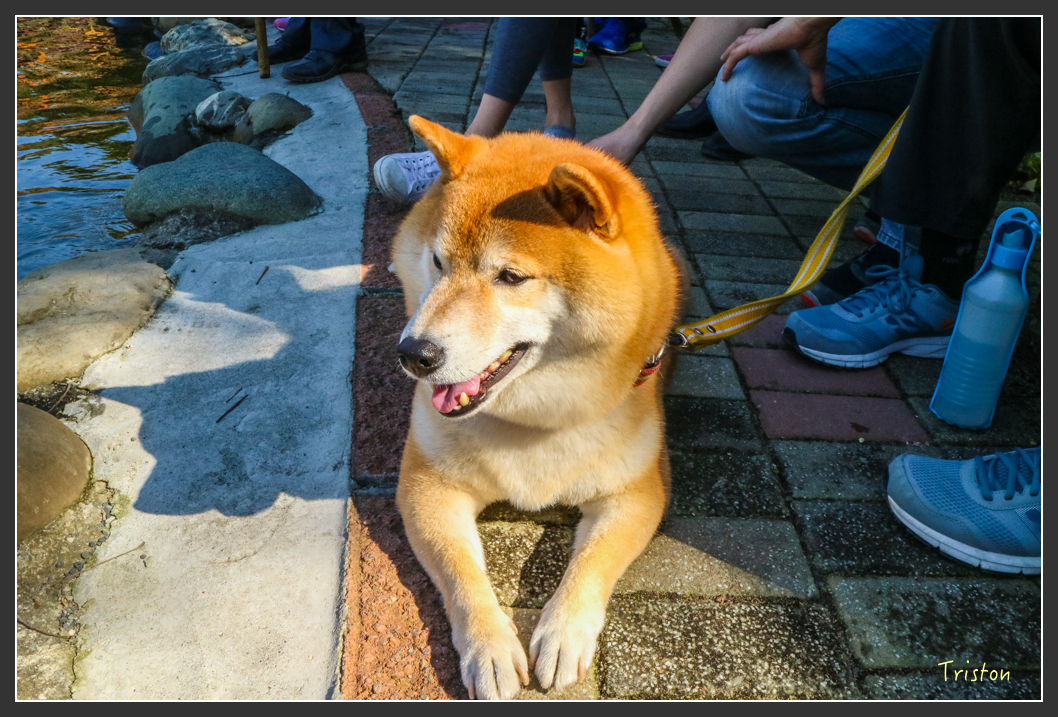 IMG_1575.jpg - 20160208 南元農場全家福走春