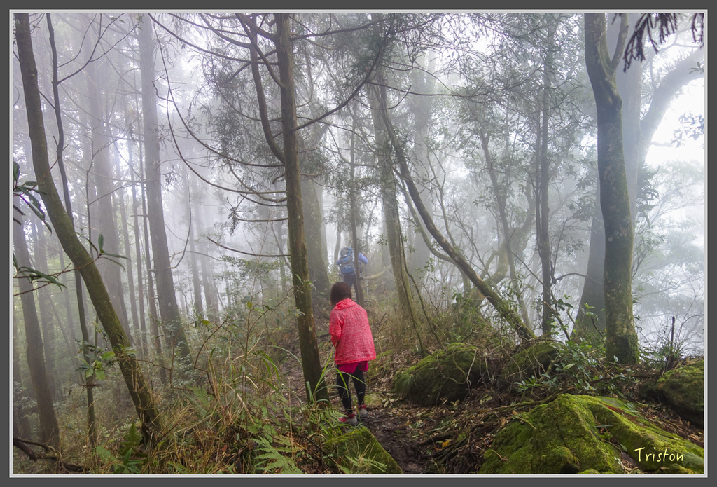 DSC00809.jpg - 20160924 溪頭台寅山