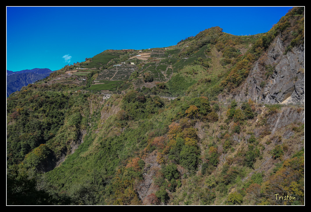 JH1A0574.jpg - 20151205 合歡溪步道、108K楓之谷