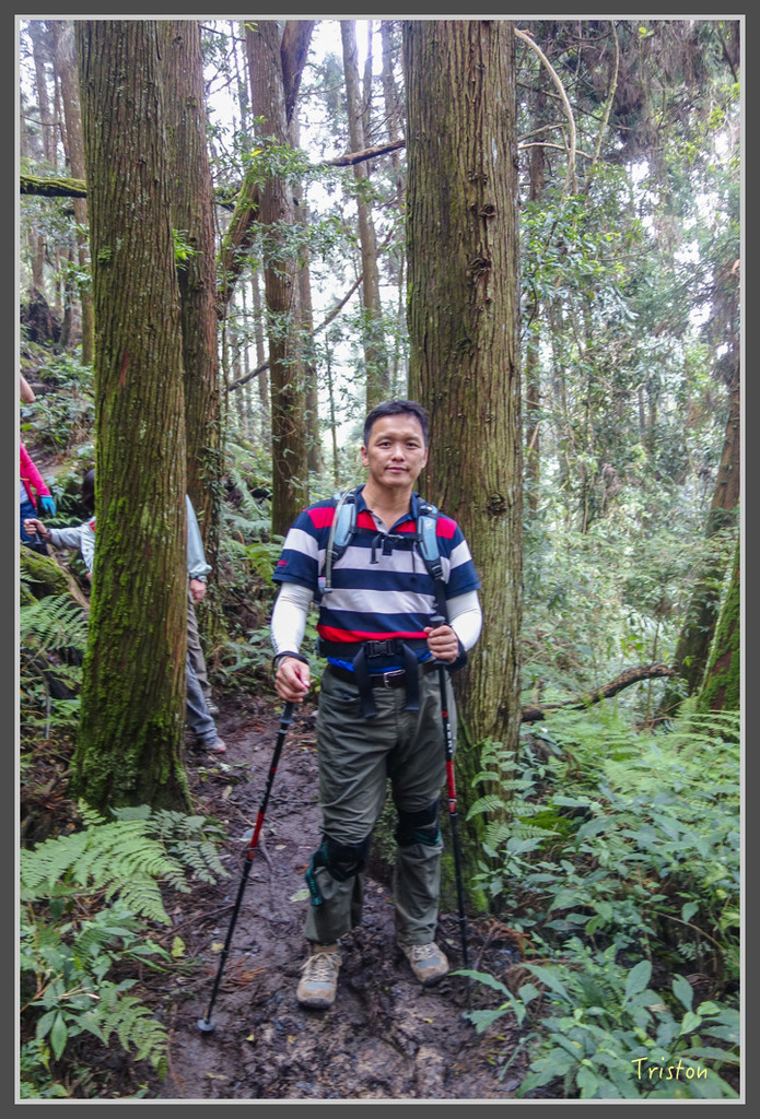 DSC00810.jpg - 20160924 溪頭台寅山