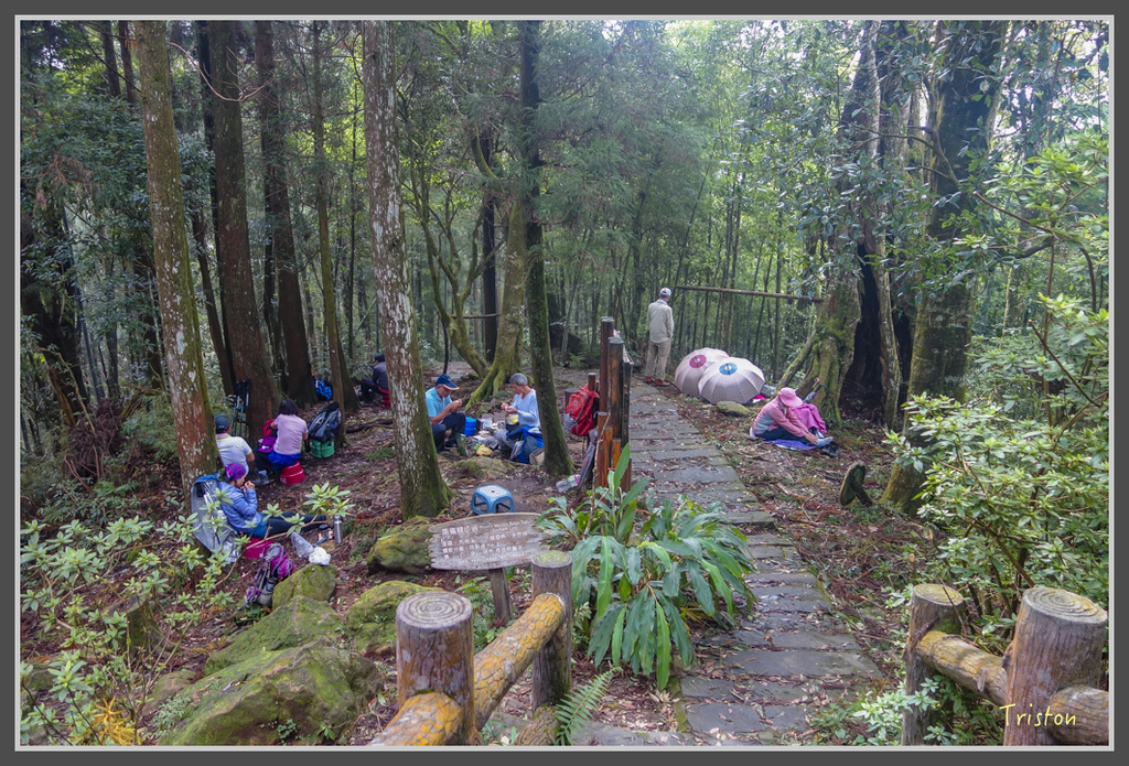 DSC00813.jpg - 20160924 溪頭台寅山