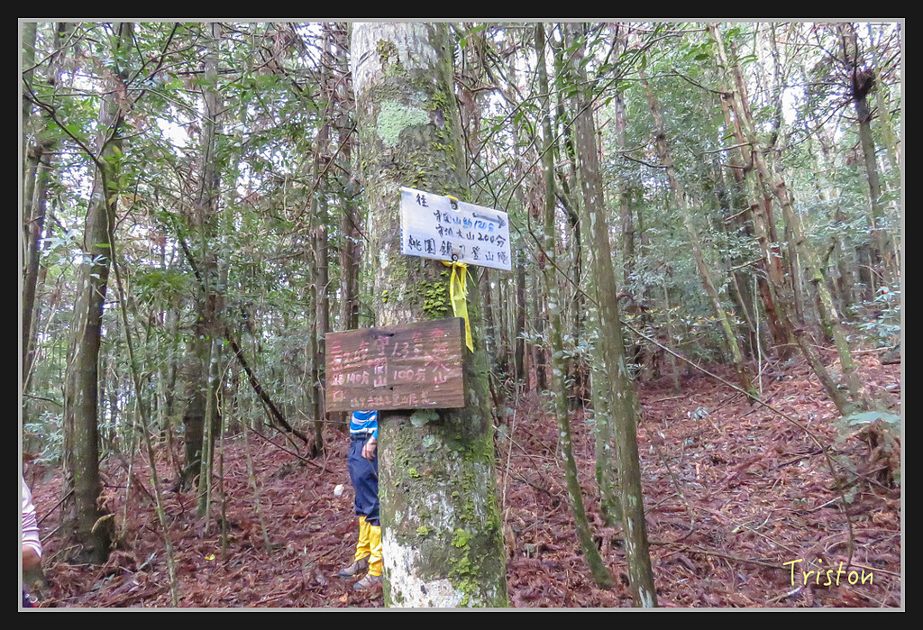 IMG_1374.jpg - 20170318 守關山、守城大山