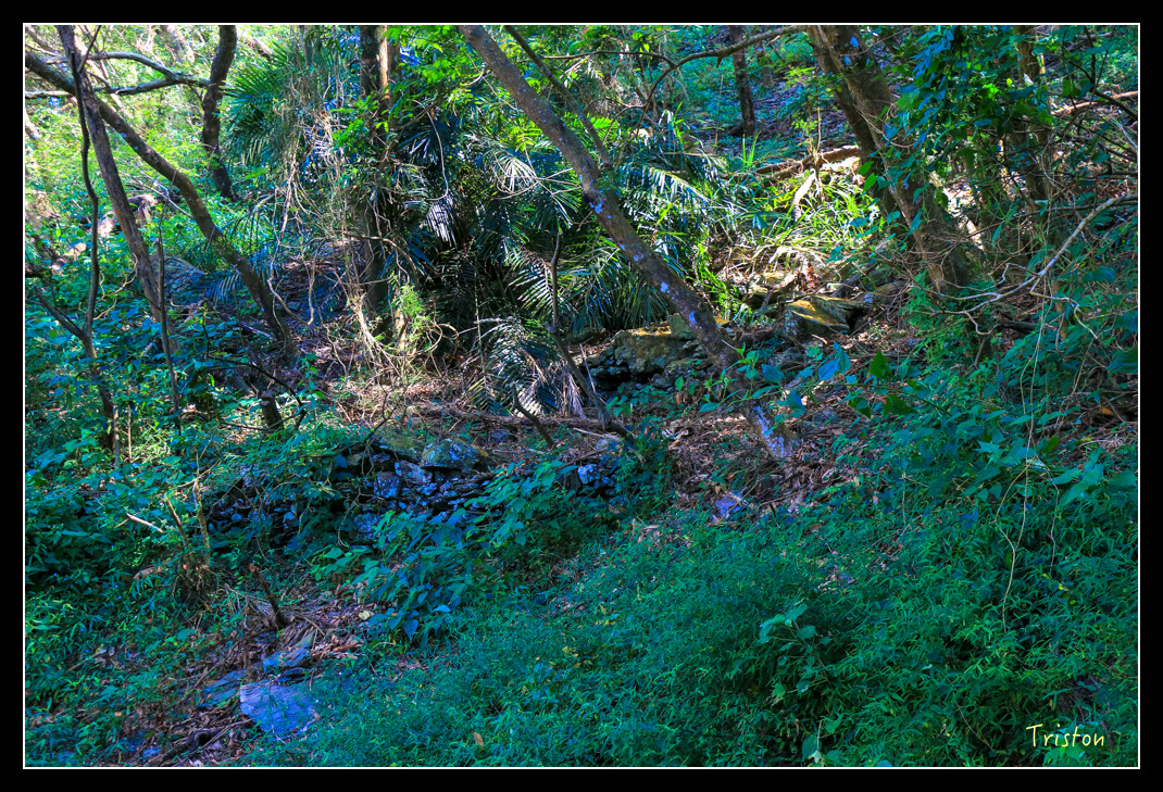 IMG_9474.jpg - 20151202 老七佳部落