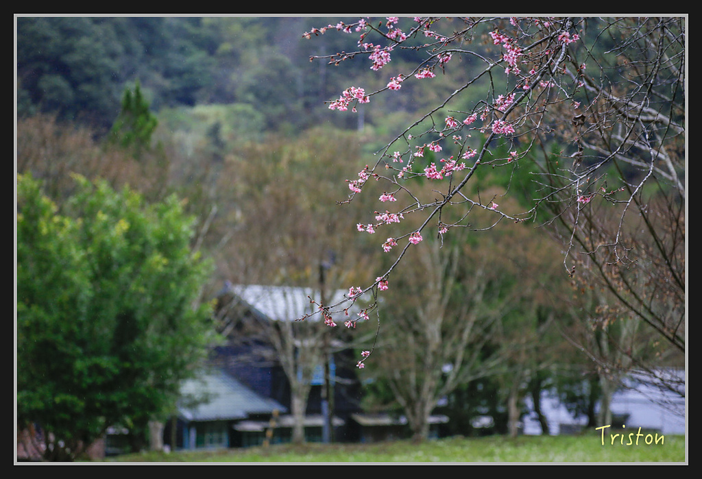 _H1A1969.jpg - 20170212 武界 萬大電廠 奧萬大