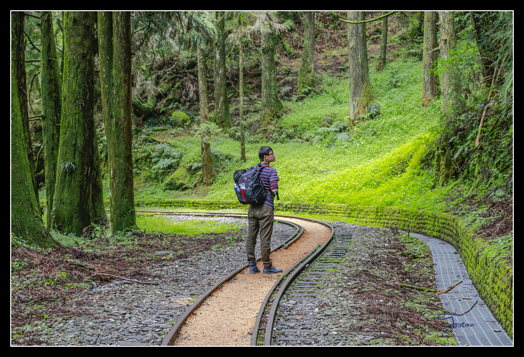 _H1A3639.jpg - 20170425 阿里山+圓潭螢火蟲