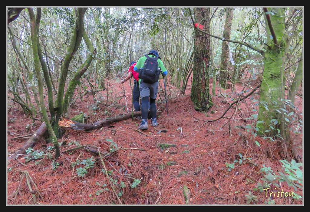 IMG_1420.jpg - 20170318 守關山、守城大山