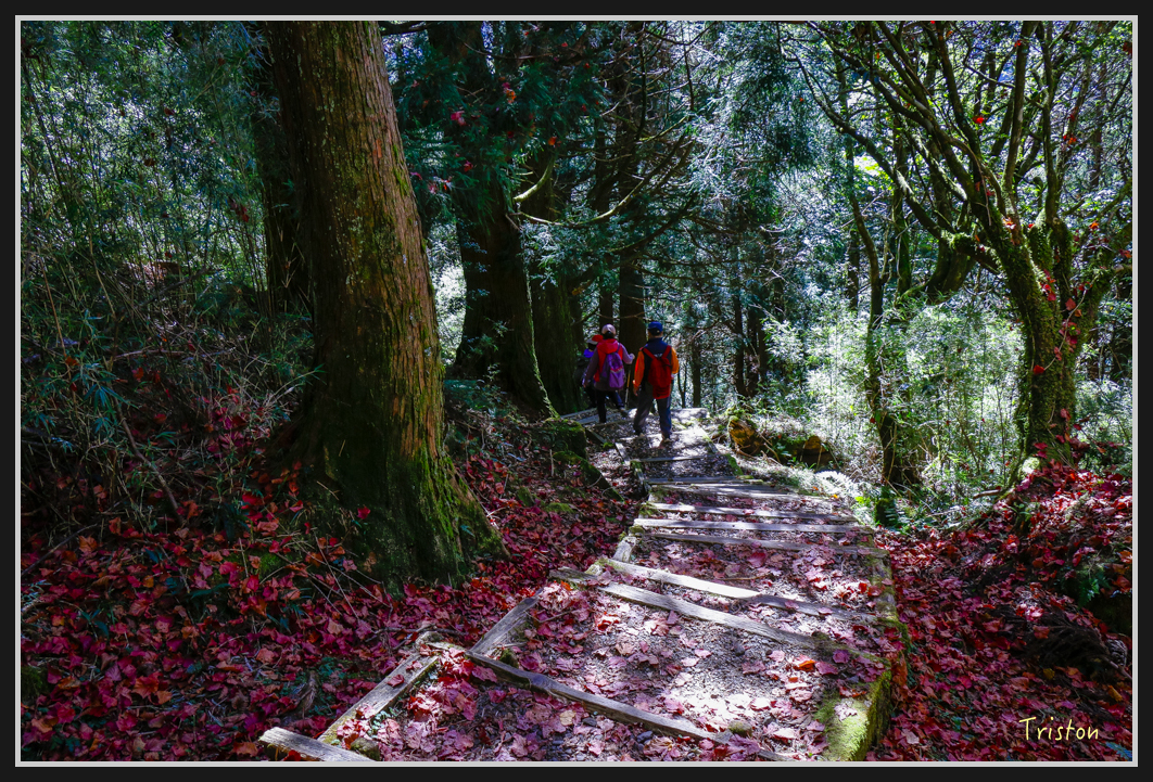 _MG_0173.jpg - 20161226 大塔山
