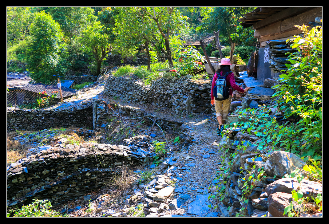 IMG_9511.jpg - 20151202 老七佳部落