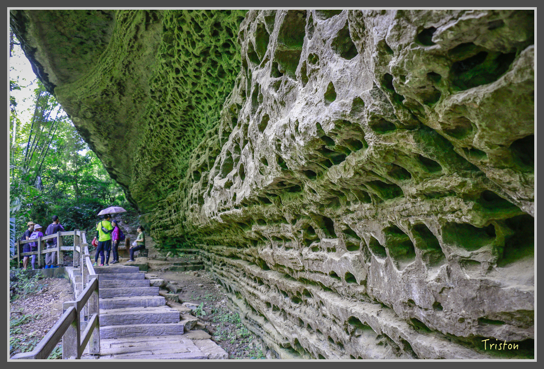 _MG_9151.jpg - 20160716 青年嶺步道