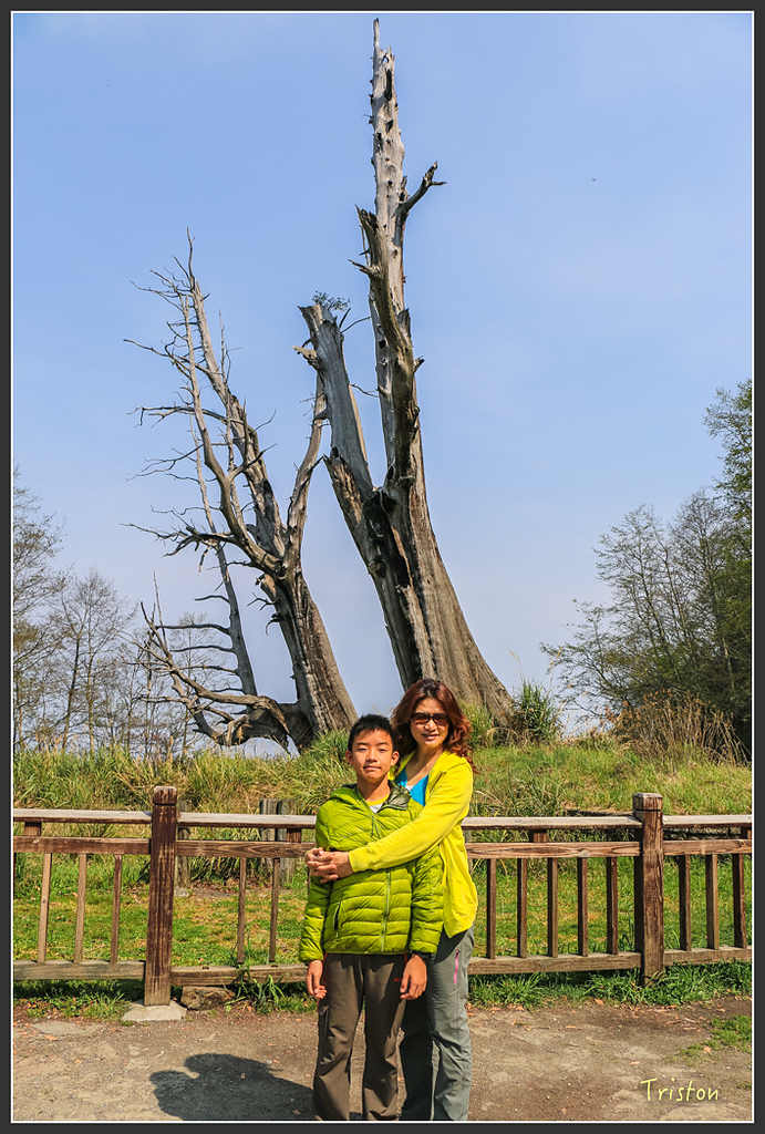 IMG_6207.jpg - 20160402 鹿林麟趾東埔山