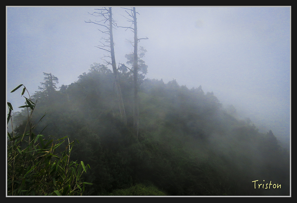 IMG_1413.jpg - 20170318 守關山、守城大山