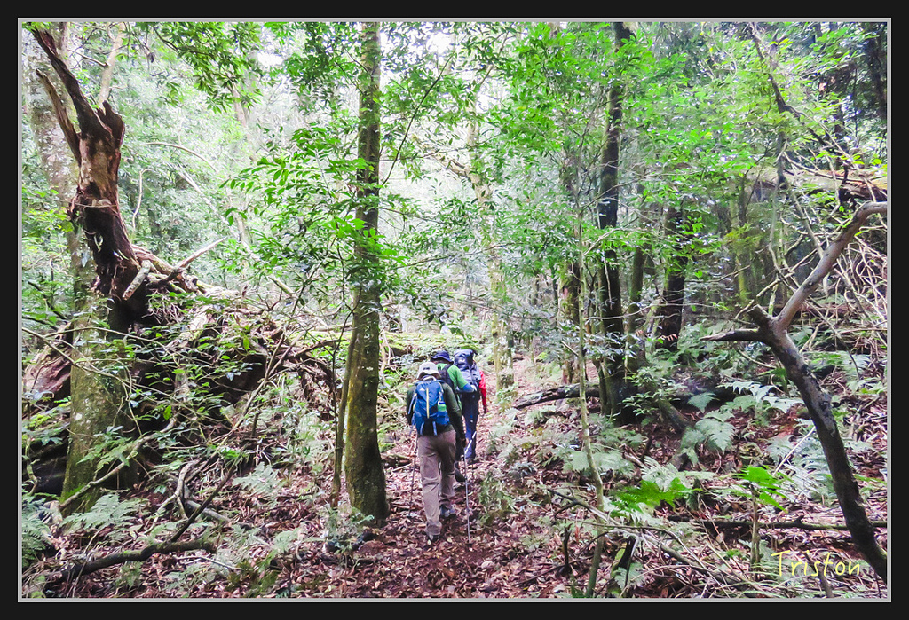 IMG_1388.jpg - 20170318 守關山、守城大山