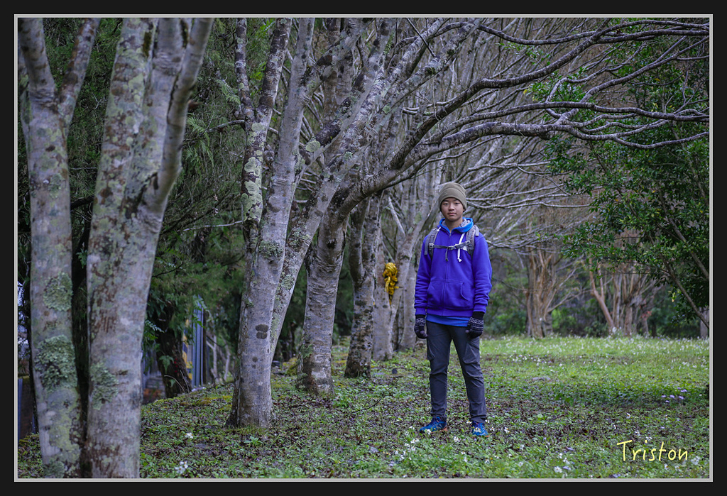 _H1A1967.jpg - 20170212 武界 萬大電廠 奧萬大