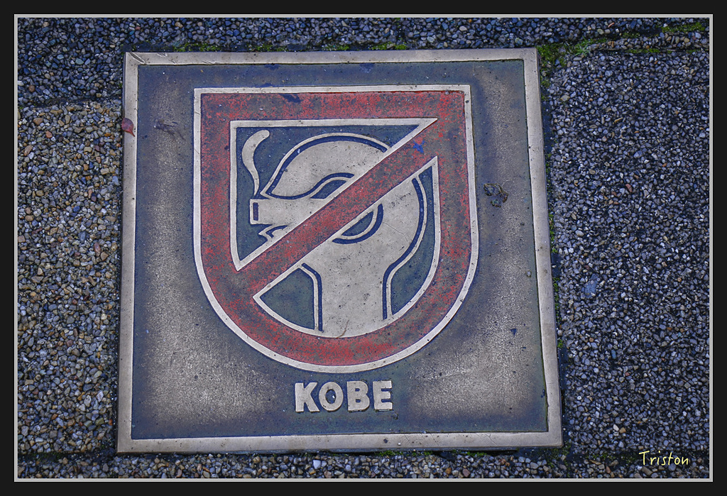 Canon-109.jpg - 20170120 大阪神戶親子遊