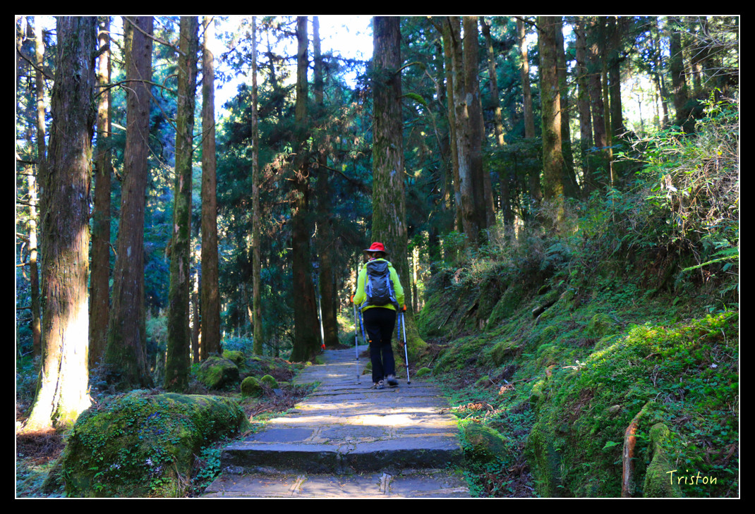 IMG_9204.jpg - 20151130 小笠原山、對高岳