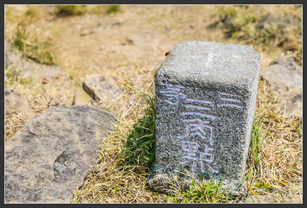 IMG_6273.jpg - 20160402 鹿林麟趾東埔山