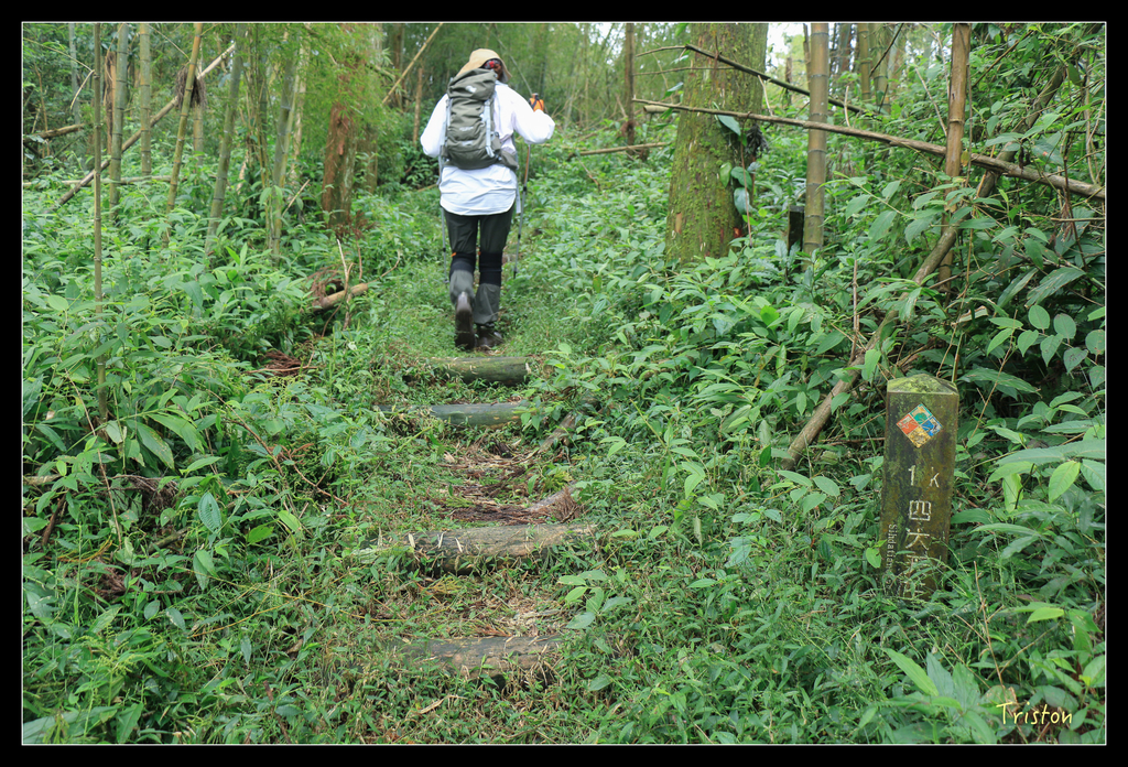 IMG_8421.jpg - 20151012 水社寮,四天王山