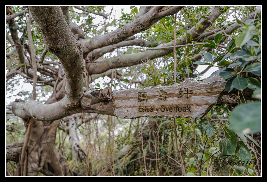 _H1A3205.jpg - 20170401 墾丁